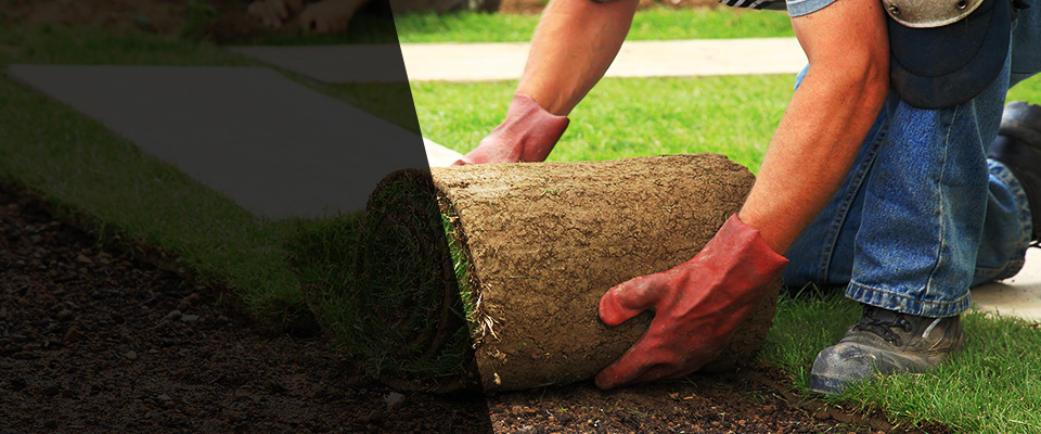 East Saint Louis Landscapers